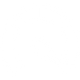 Shopify Speed Optimization